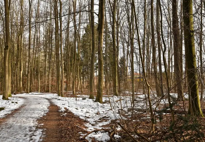 Gögginger Stadtwald