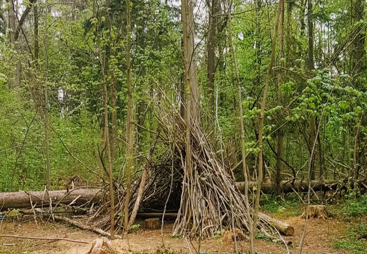 Gögginger Stadtwald