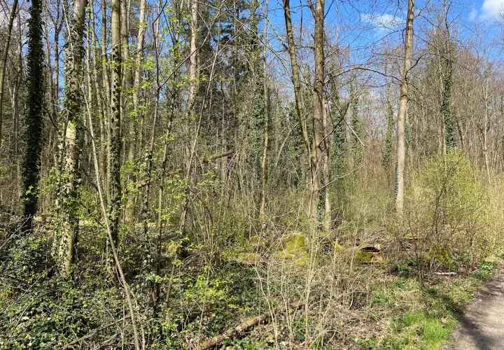 Gögginger Stadtwald