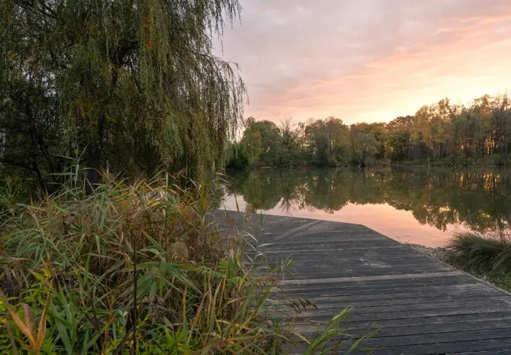 Europaweiher