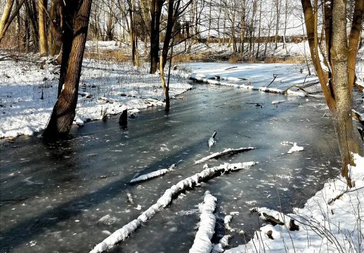 Europaweiher