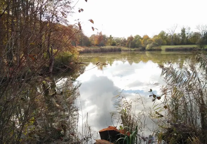 Europaweiher
