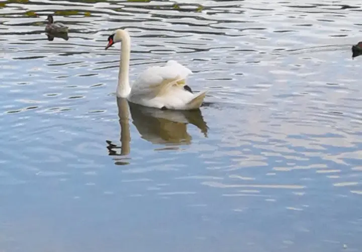 Ostpark