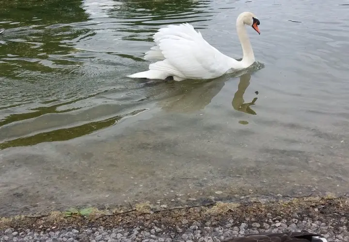 Ostpark