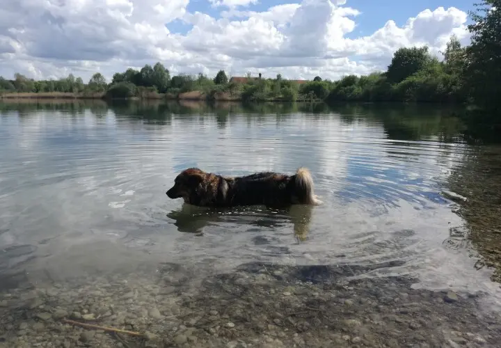 Badesee Afrasee 2