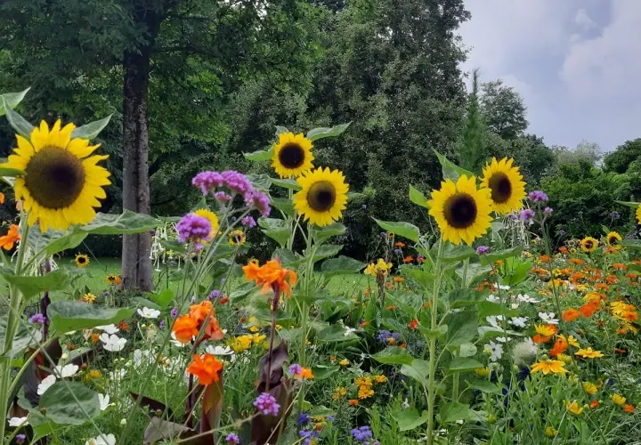 Ostpark