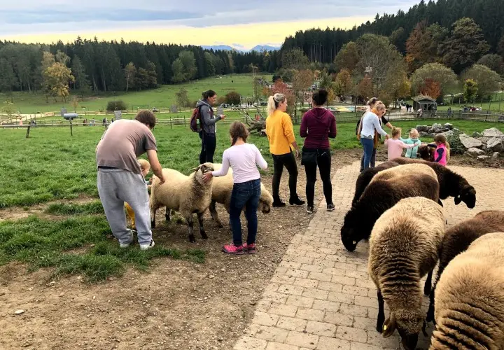 BergTierPark Blindham