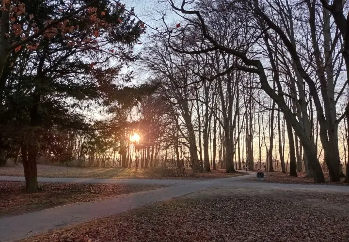 Wittelsbacher Park
