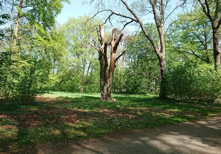 Grünwaldpark
