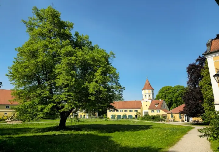 Schloss Blumenthal