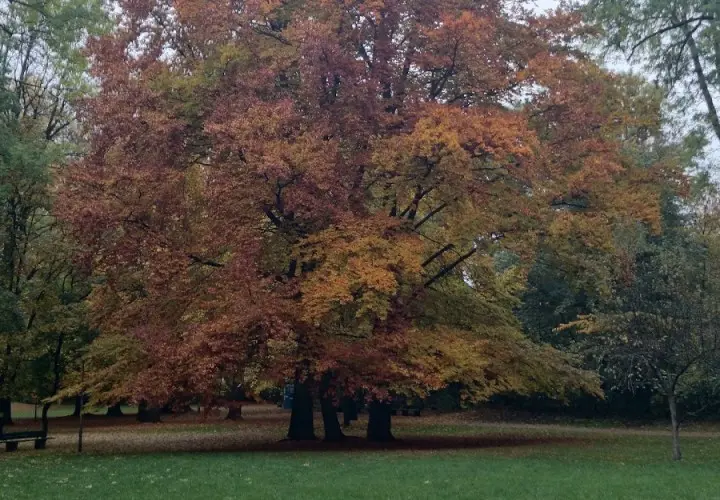 Grünwaldpark