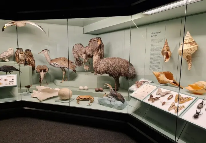 Naturmuseum Augsburg