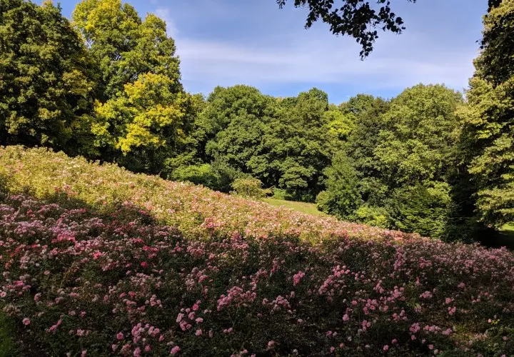 Luitpoldpark
