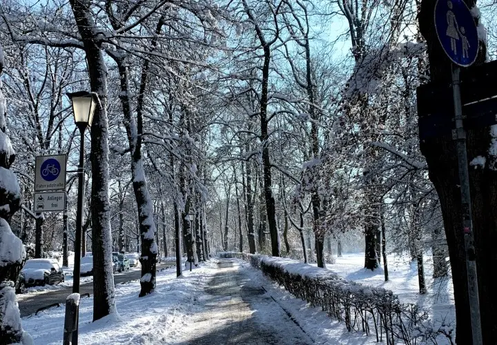 Luitpoldpark
