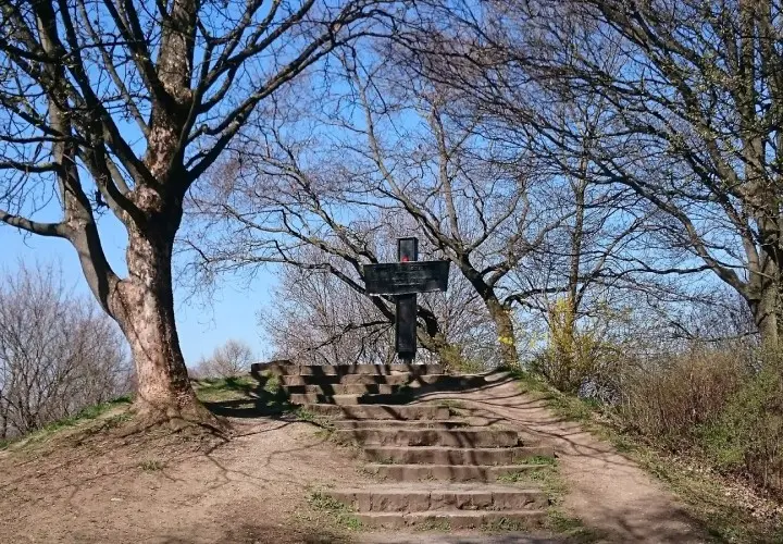 Luitpoldpark
