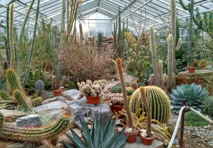 Botanischer Garten München-Nymphenburg