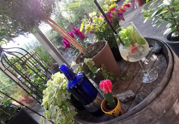 Ristorante Ripasso