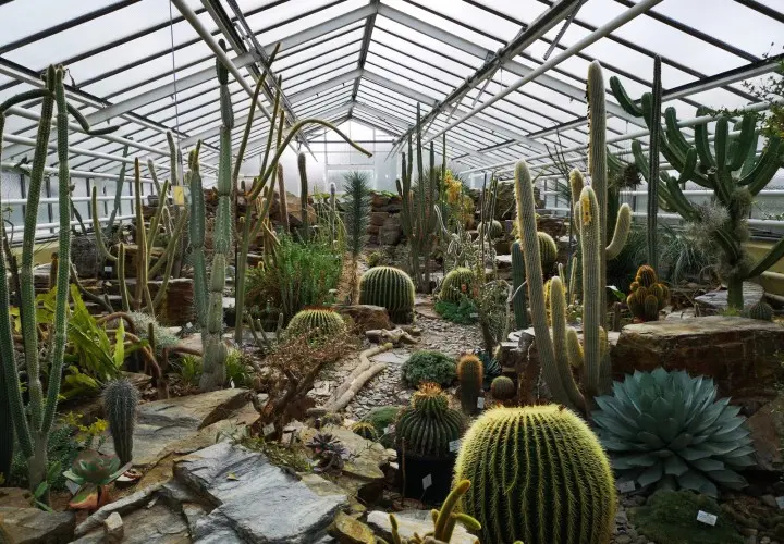 Botanischer Garten München-Nymphenburg