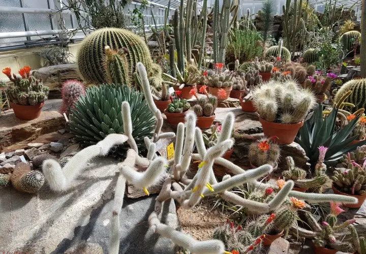 Botanischer Garten München-Nymphenburg