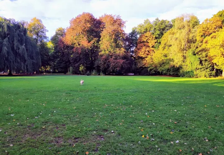 Großer Spielplatz