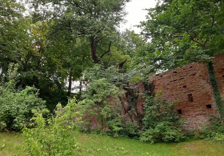 Wittelsbacher Schloss Friedberg