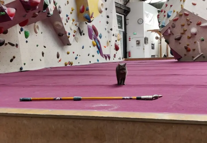 einstein - Klettern in der Boulderhalle Ulm