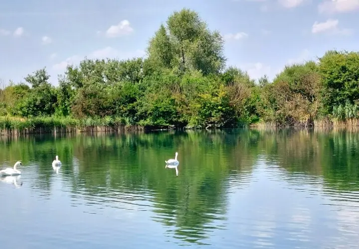 Fünfminuten See