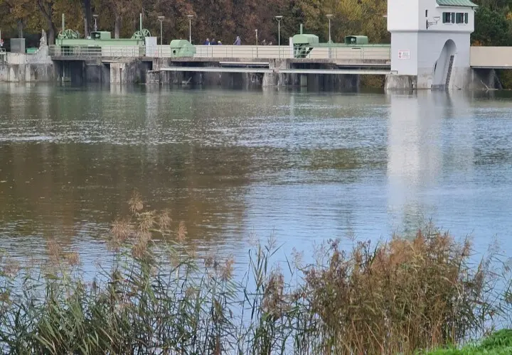 Stadtwald Augsburg