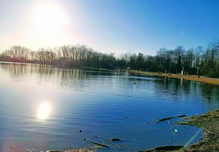 Lauterbacher am See