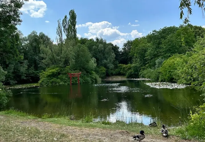 Zentralbibliothek