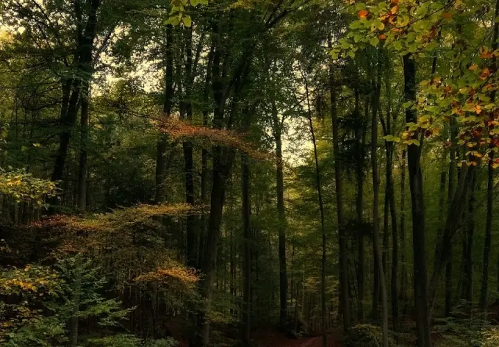 Grünwalder Freizeitpark