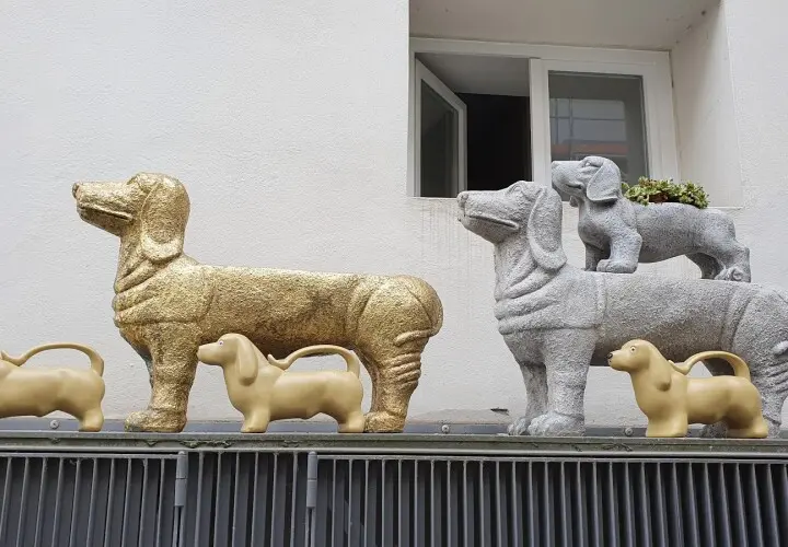 Dackelmuseum