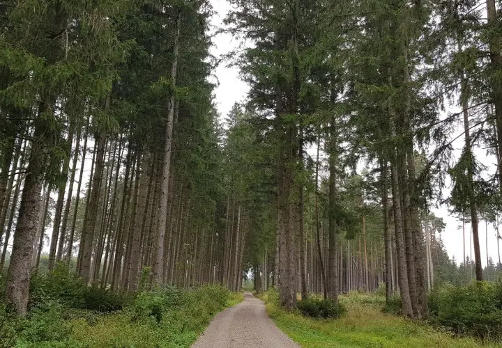 Hohenbrunner Rundwanderweg