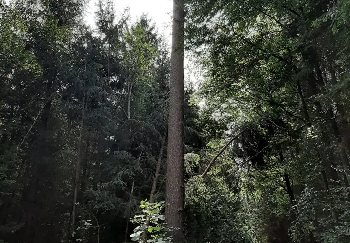 Hohenbrunner Rundwanderweg