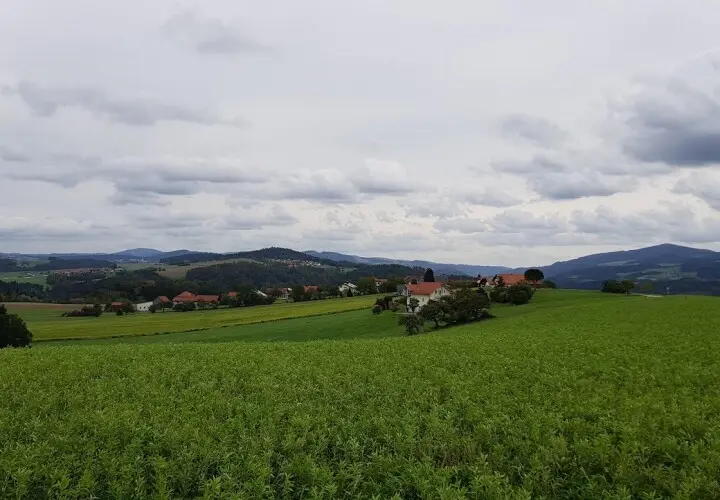 Am König-Max-Stein