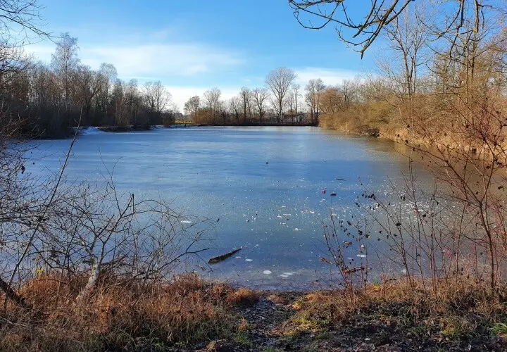 Vöttinger Weiher