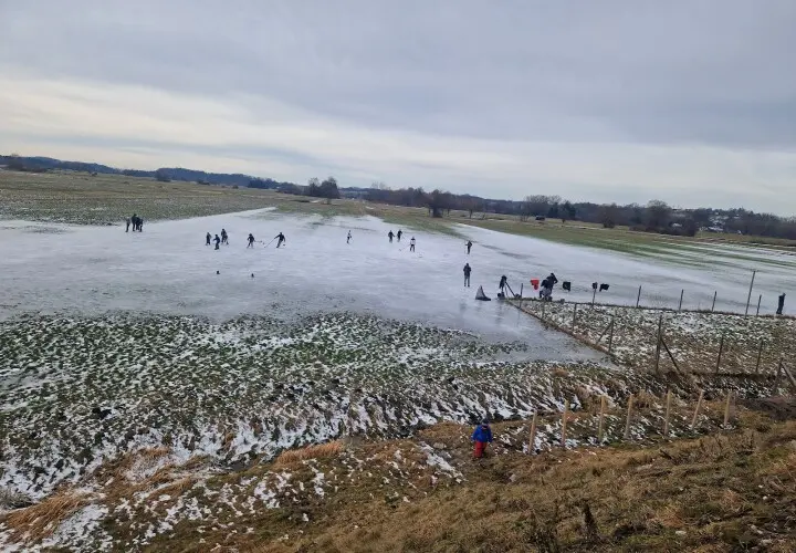 Vöttinger Weiher