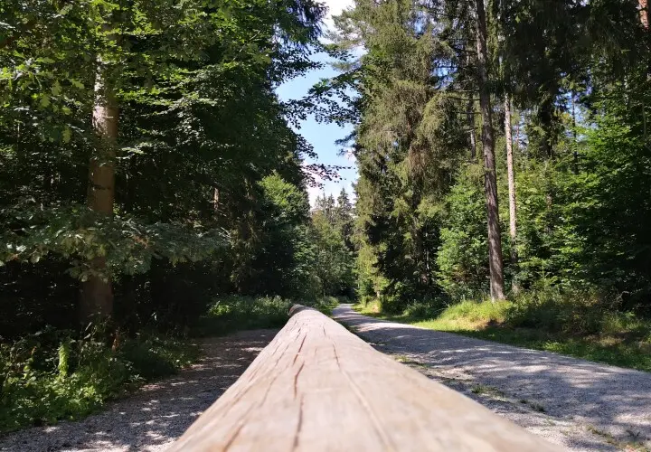 Walderlebnispfad