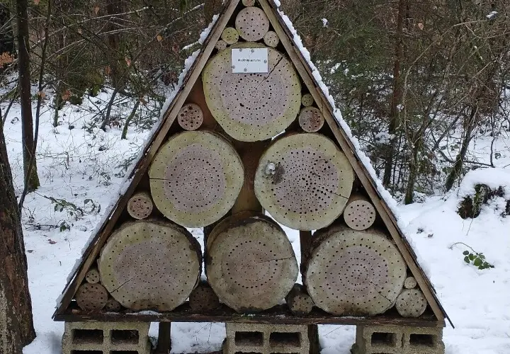Walderlebnispfad