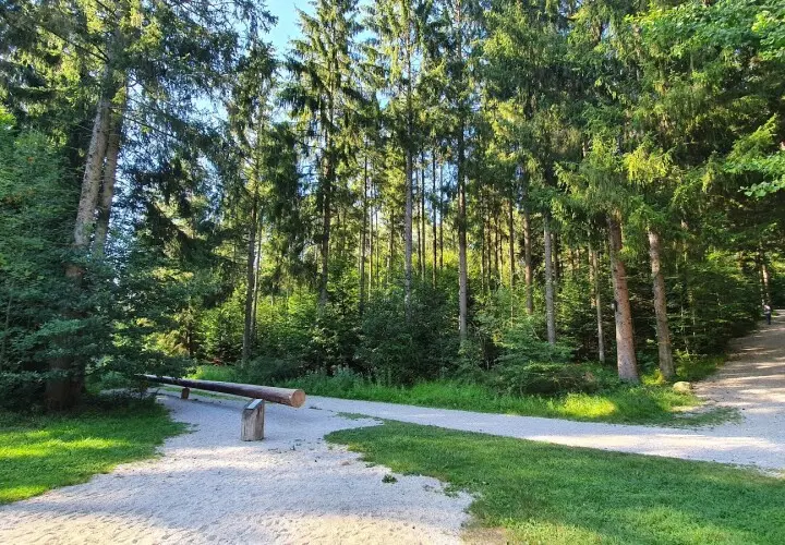 Spielplatz Walderlebnispfad