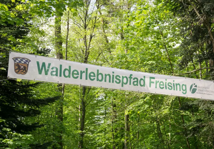 Spielplatz Walderlebnispfad