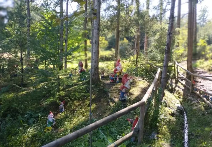 Zwergerlwald