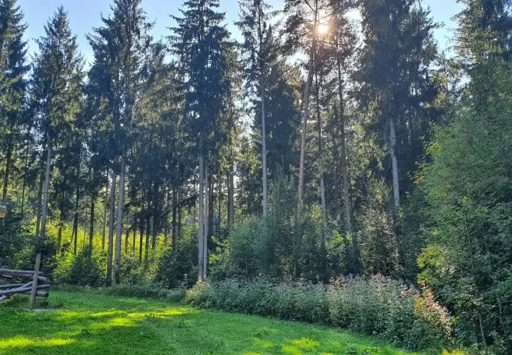 Spielplatz Walderlebnispfad
