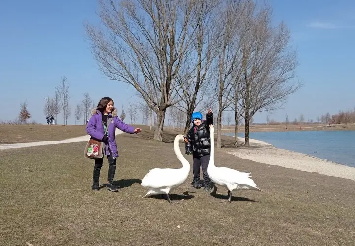 Spielplätze am See