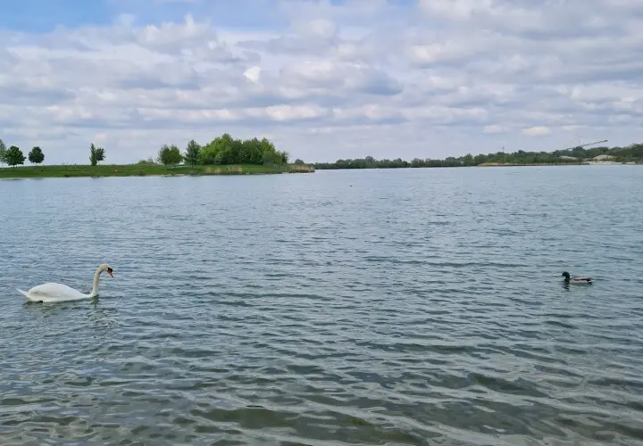 Spielplätze am See