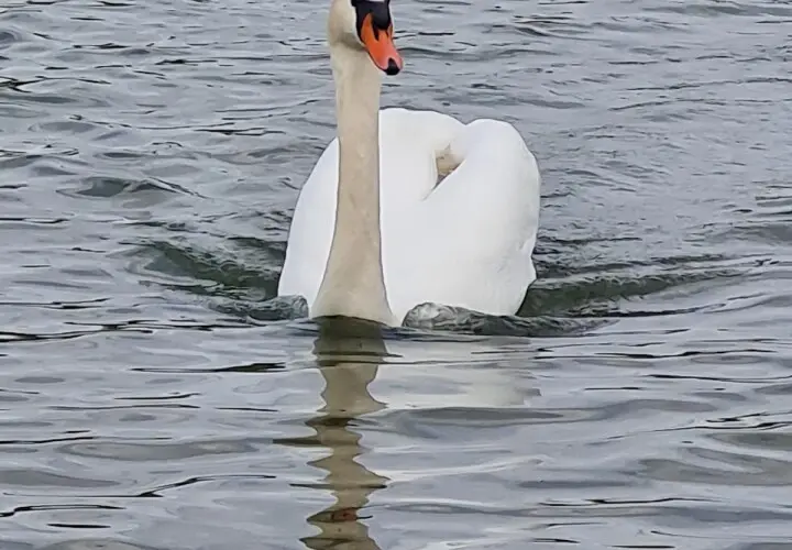 Spielplätze am See