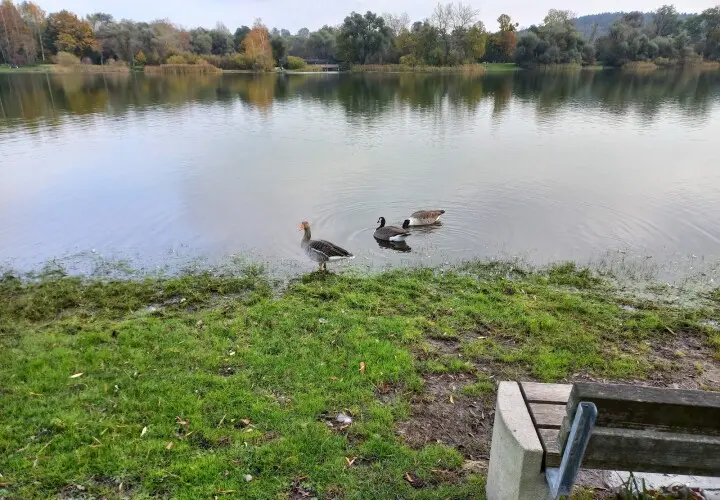 Erholungsgebiet Kranzberger See
