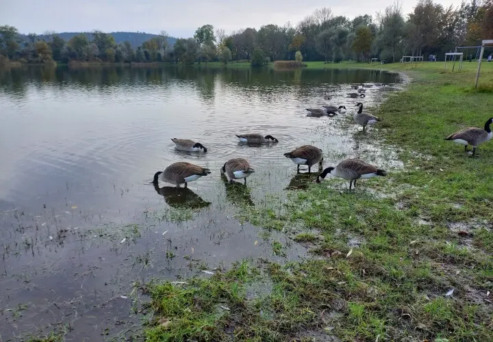Erholungsgebiet Kranzberger See