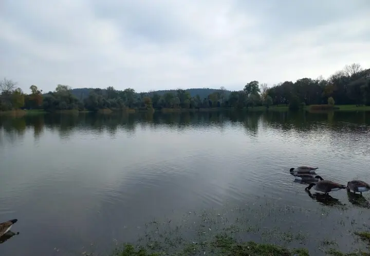 Erholungsgebiet Kranzberger See