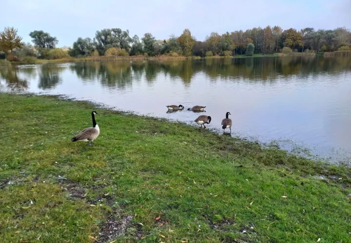 Erholungsgebiet Kranzberger See